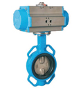 pneumatic_actuator